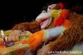 animals_minsk_belarus009