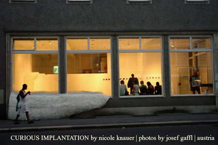 curious_implantation_by_nicole_knauer_photos_by_josef_gaffl_000_0