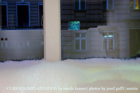 curious_implantation_by_nicole_knauer_photos_by_josef_gaffl_000_14