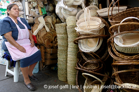 guadalajara_josef_gaffl_austria-59