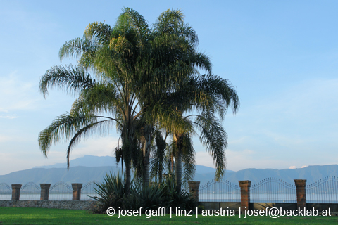 mexico_chapala_josef_gaffl_austria-41