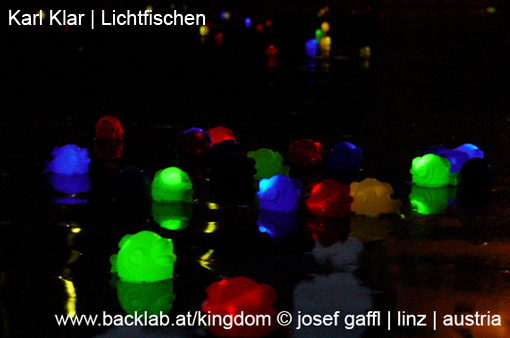 070916_karl_klar_lichtfischen-08