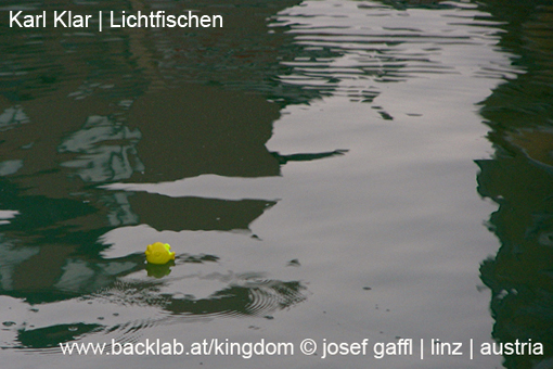 070916_karl_klar_lichtfischen-15