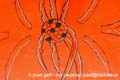 ketani_kickers_malaktionen-41
