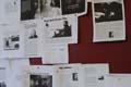 crossing_europe_filmfestival_linz_ambience-09