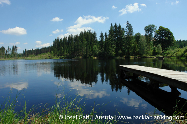 liebenau_rubener_teich-02