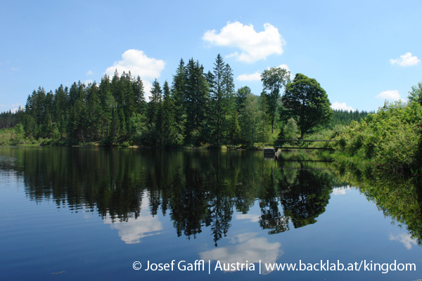 liebenau_rubener_teich-03