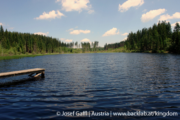 liebenau_rubener_teich-04