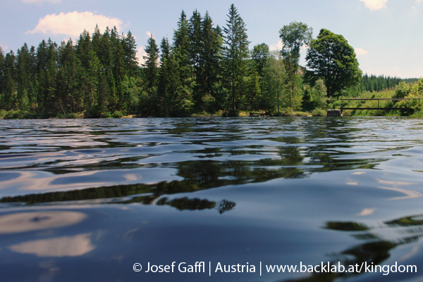 liebenau_rubener_teich-05