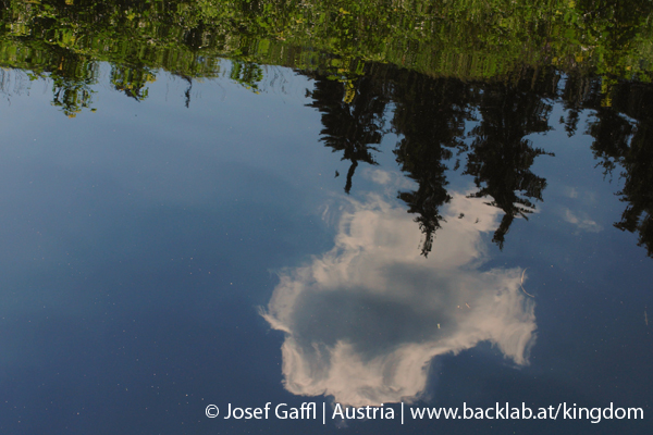 liebenau_rubener_teich-11