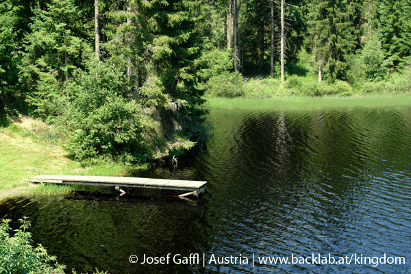 liebenau_rubener_teich-14