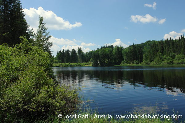 liebenau_rubener_teich-19