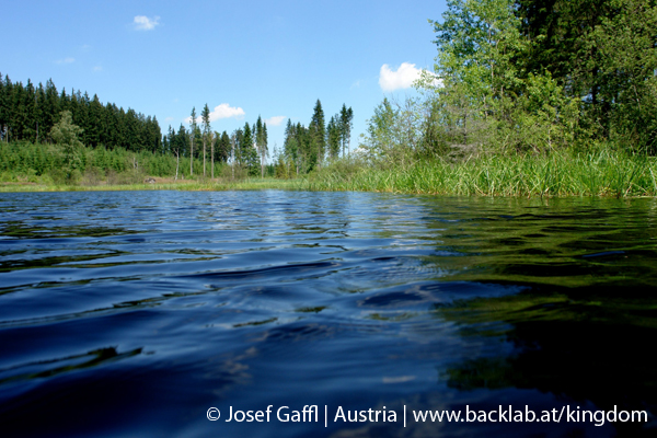 liebenau_rubener_teich-21