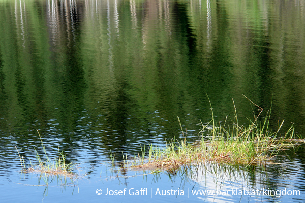 liebenau_rubener_teich-22