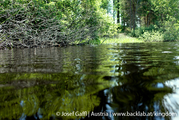 liebenau_rubener_teich-24