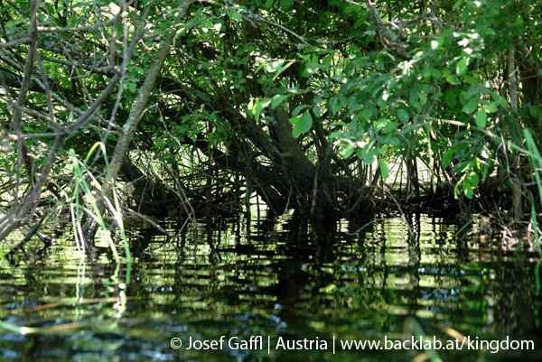 liebenau_rubener_teich-25