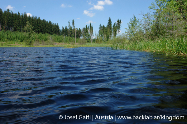 liebenau_rubener_teich-37