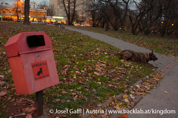 warsaw_polska_warszawa_poland-101