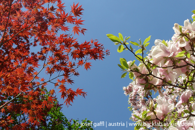 april_03_2009_linz_flora-01