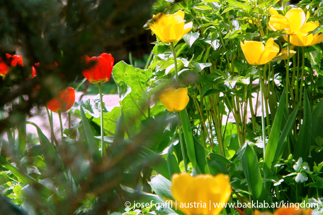 april_03_2009_linz_flora-77