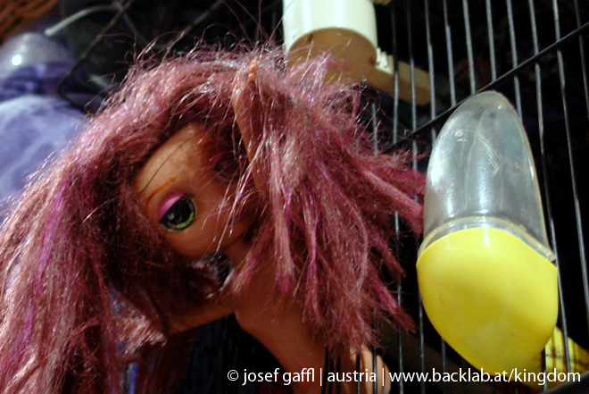 OK_biennale_biennale_cuvee_2009-12