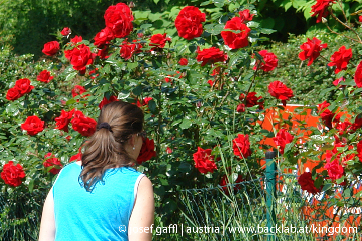 linz_austria_may_2009-009