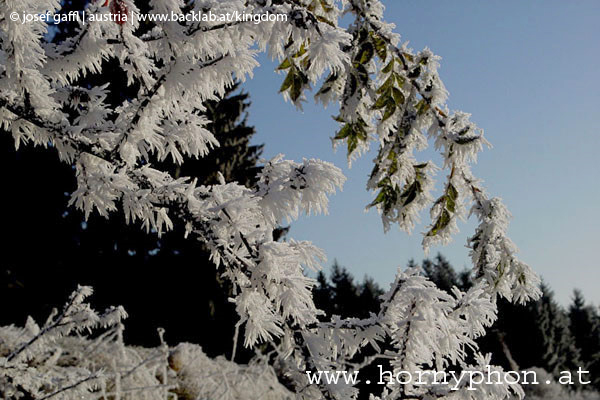winter_frost025