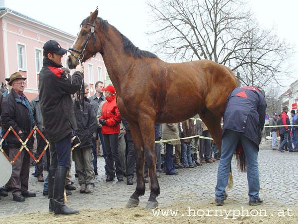 josefimarkt_2005-48