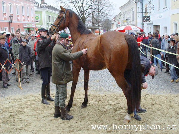 josefimarkt_2005-49