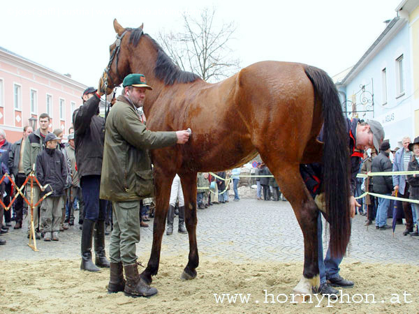 josefimarkt_2005-50