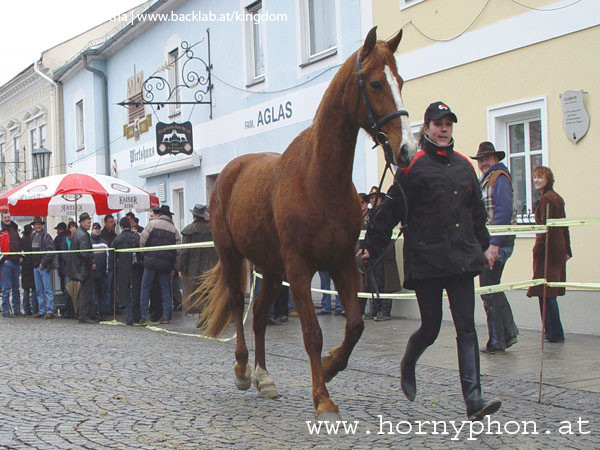 josefimarkt_2005-59