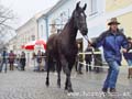 josefimarkt_2005-57