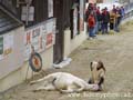 josefimarkt_2005-78