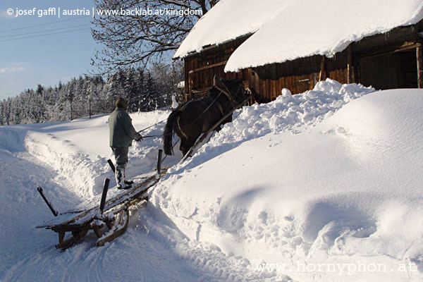 koenigswiesen_winter-01