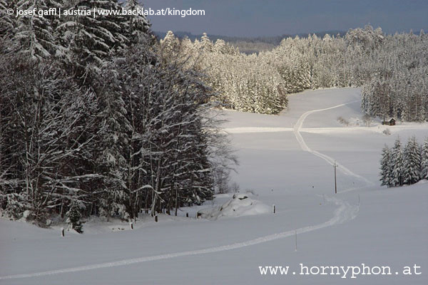 koenigswiesen_winter-26