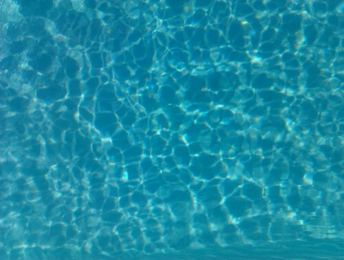 IMAG1128.jpg image