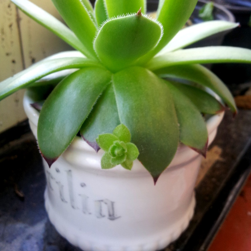 20130619_01