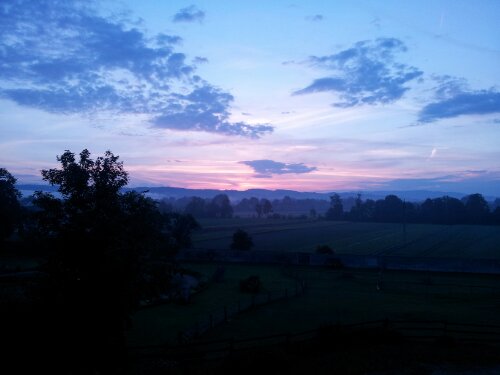 20130616_050201.jpg image