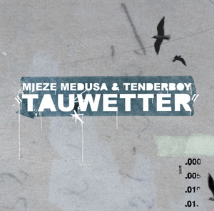 tauwetter von mieze medusa & tenderboy